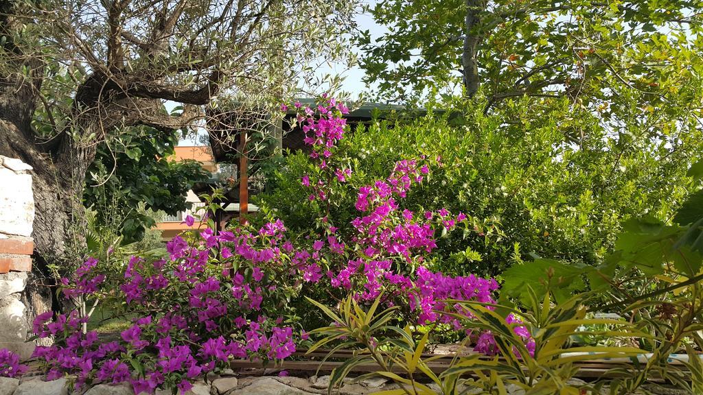 Adrasan Deniz Hotel Екстер'єр фото